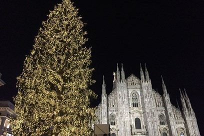 Brand Pazzi Per L Albero Di Natale