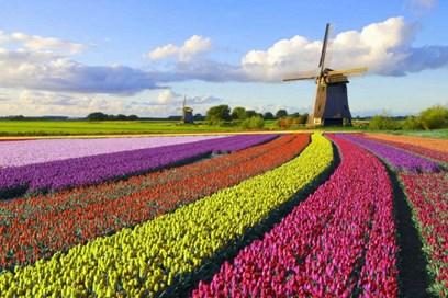 L'Olanda tassa i dividendi dai paradisi fiscali 